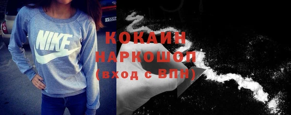 СК Новодвинск